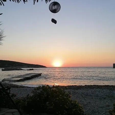 Maestralia * İskiri